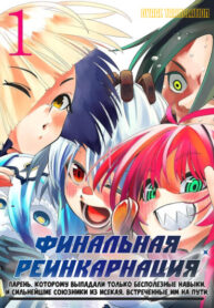 cover_Финальная Реинкарнация