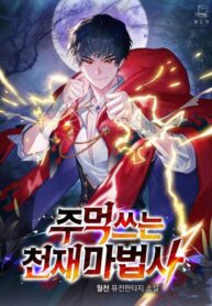 cover_Гениальный маг, что использует кулаки