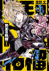 cover_Гранат Аида