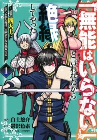 cover_Хроники Восхождения Авантюриста