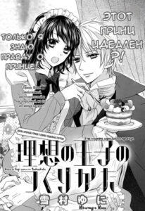Как создать идеального принца (Making a Perfect Prince)