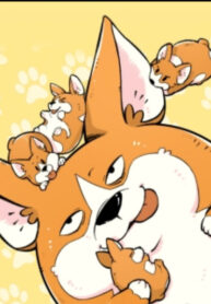 cover_Корги Сиджила