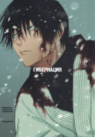 cover_Магическая Битва — Гибернация