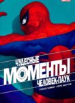 cover_Моменты Чудес — Человек-паук