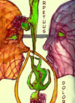 cover_Perpetuus dolor