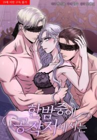 cover_Посреди ночи, в доме герцога