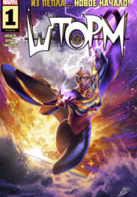 cover_Шторм (2024)