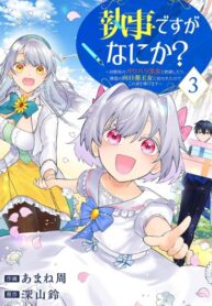 cover_Сильнейший дворецкий служит принцессе из соседней страны