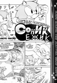 cover_Соник Ёжик
