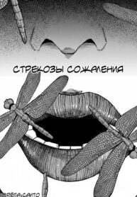 cover_Стрекозы сожаления