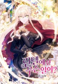 cover_Что происходит в Линделле_