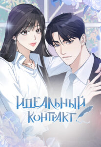 Идеальный контракт (Perfect Contract)