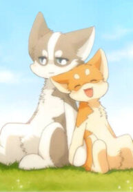 cover_Помощник Шибета