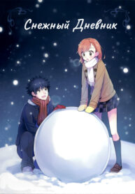 cover_Снежный дневник