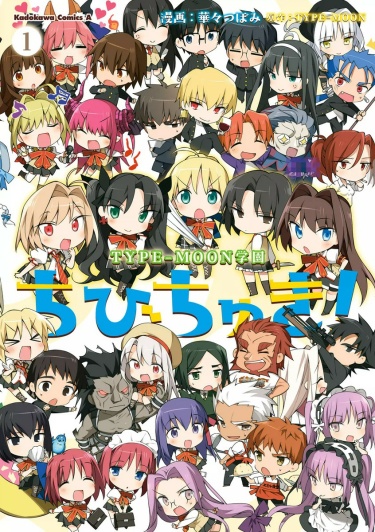 Академия Type-Moon