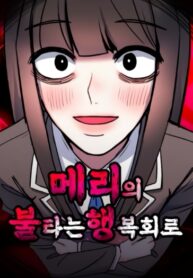 cover_Жгучее счастье Мэри