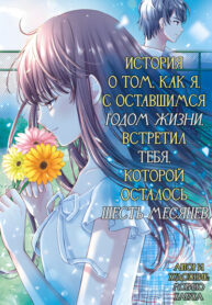 cover_История о том, как я, с оставшимся годом жизни, встретил тебя, у которой осталось шесть месяцев
