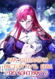cover_Как идеально расторгнуть брак по контракту