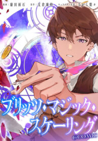 cover_Масштабирование магии Блитз