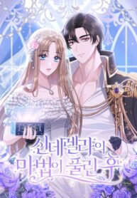 cover_После исчезновения магии Золушки