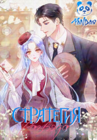 cover_Стратегия развода