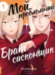 cover_Мой проблемный брат-сисконщик