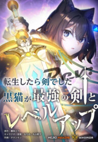 cover_О моём перерождении в меч_ чёрная кошка повышает уровень с сильнейшим мечом